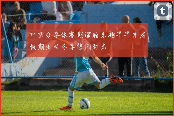 申京分享休赛期遛狗乐趣早早开启假期生活尽享悠闲时光