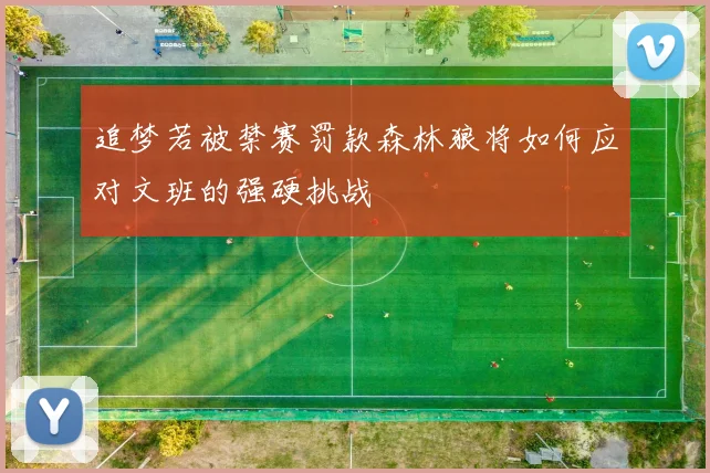 追梦若被禁赛罚款森林狼将如何应对文班的强硬挑战